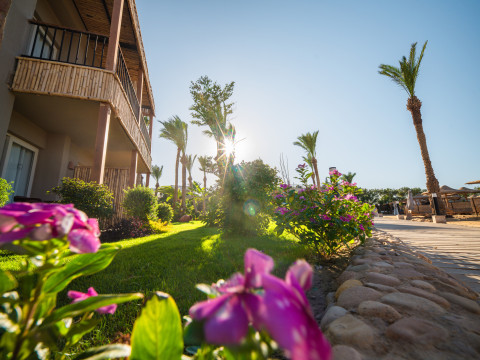 ananea Hurghada