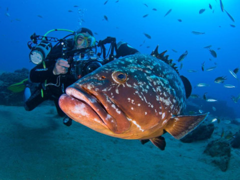 Apartamentos Guanarama