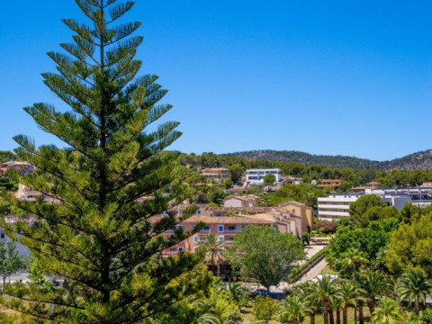 Apartamentos Las Palomas Econotels