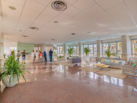 Apartamentos Livvo Koala Garden