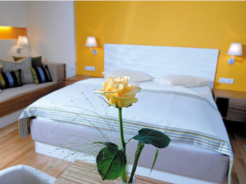 Aparthotel Adler