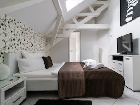 APARTHOTEL VILLA FREISLEBEN