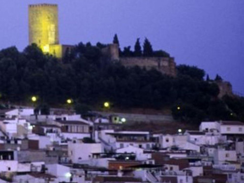 Apartment In Velez Malaga, Malaga 103069