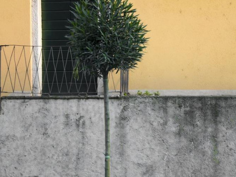 Appartamenti Brunati Street 6