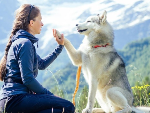 ARCTIC CIRCLE CRUISE 