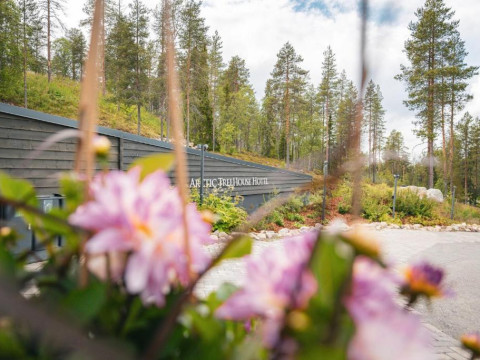 Arctic TreeHouse Hotel