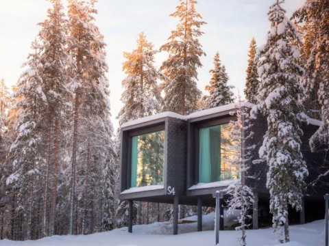 Arctic TreeHouse Hotel