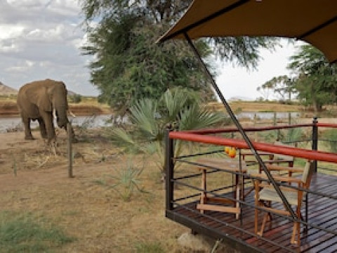 ASHNIL SAMBURU CAMP