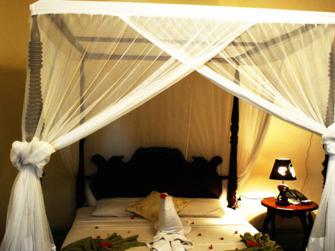 Asmini Palace Hotel
