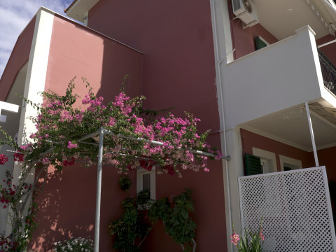 Aspasia Studios