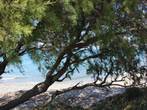 Hotel Asterias Bay - Theologos