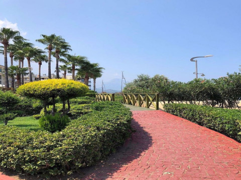 ARIZONA DEL MAR
