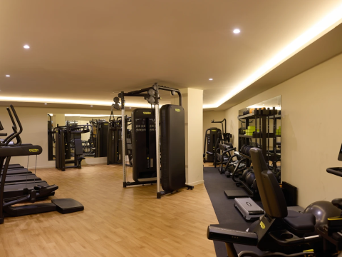 AULUS CHANIA, Curio Collection by Hilton