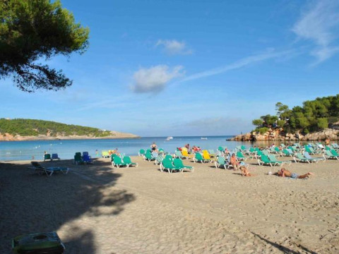 Australasia Playa