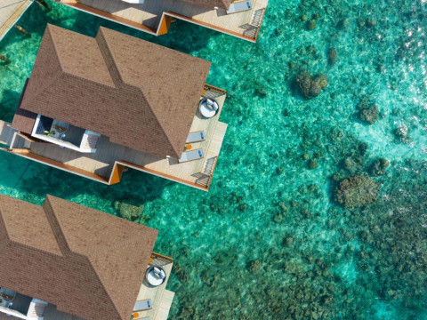 Avani+ Fares Resort Maldives
