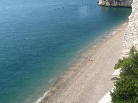 B & B Torre Saracena