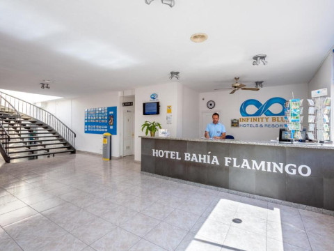 Bahia Flamingo