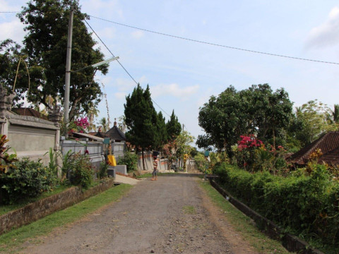 Bali Lush