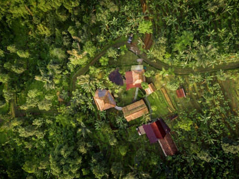 Batukaru Coffee Estate