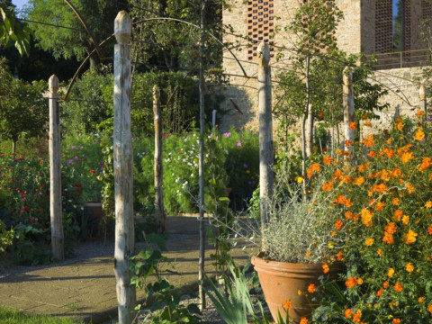 B&B Borgo Petrognano - Residenza D'epoca