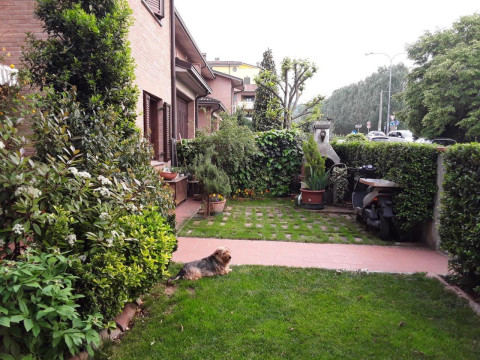 B&B La Rosa Gialla