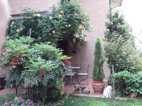 B&B La Rosa Gialla