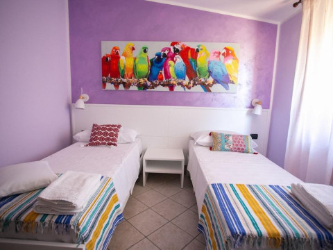 B&B Trepo