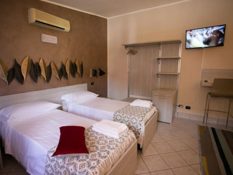 B&B Trepo