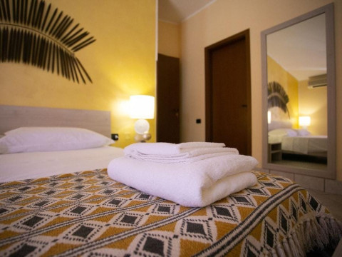B&B Trepo