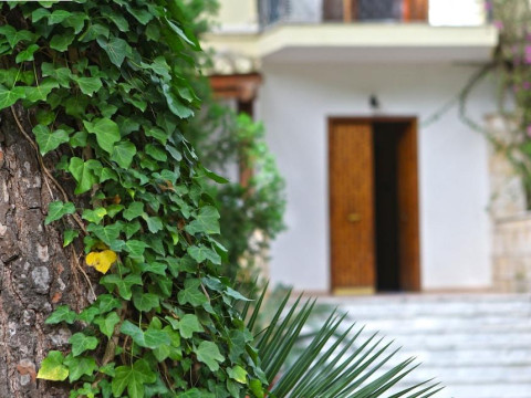 B&B Viale Dei Pini