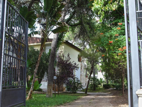 B&B Viale Dei Pini