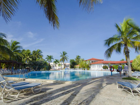 Be Live Adults Only Cactus