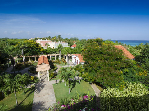 Be Live Adults Only Cactus