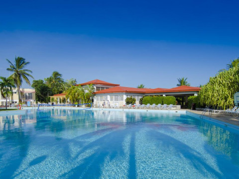 Be Live Adults Only Cactus