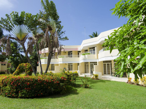 Be Live Adults Only Cactus