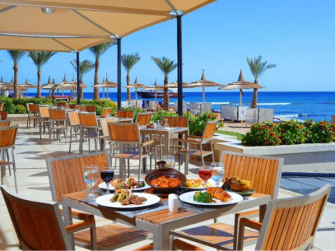 Beach Albatros