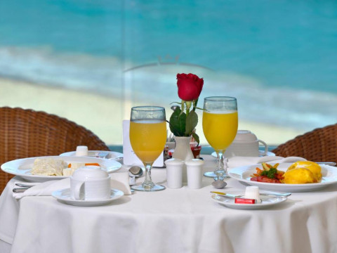 Beach Palace