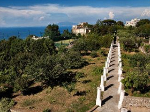 BELLAVISTA