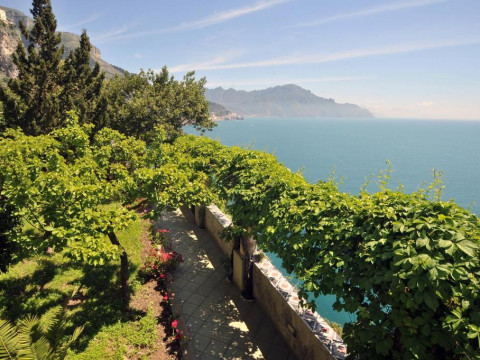 Belvedere.