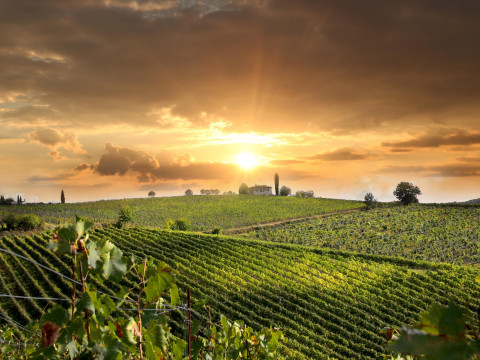 Circuit Best of Toscana Iulie
