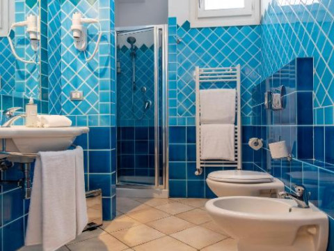 BEST WESTERN HOTEL BLUMAREA