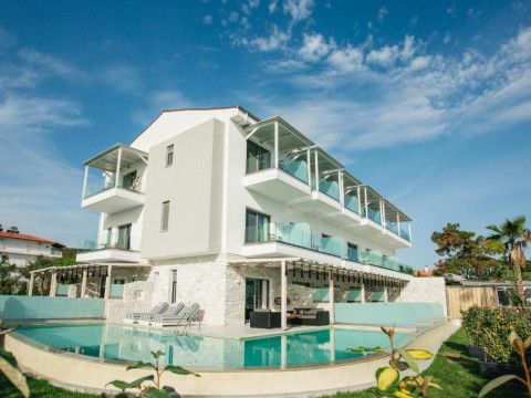 Blue Carpet Suites