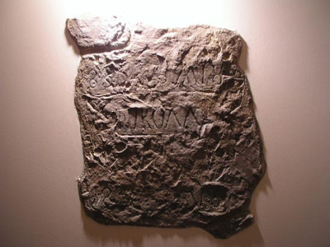 Boliari