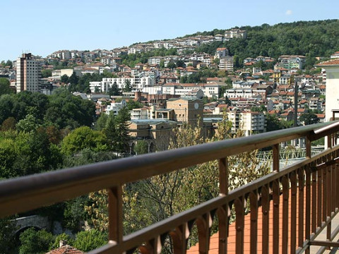 Boliari