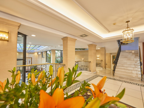 Bordoy Continental Palma