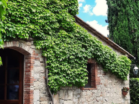 Borgo Livernano