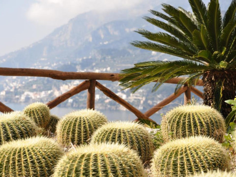 Botanico San Lazzaro