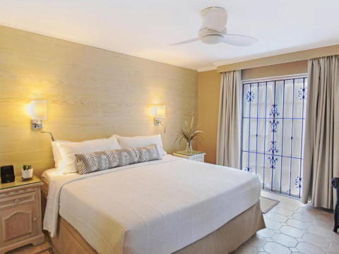 Bougainvillea Barbados