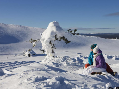 Charter Laponia - Sokos Levi Hotel