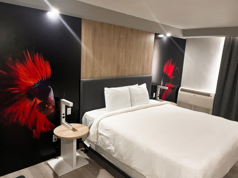 Brickell Bay Beach Club Boutique Hotel & Spa - Adults Only